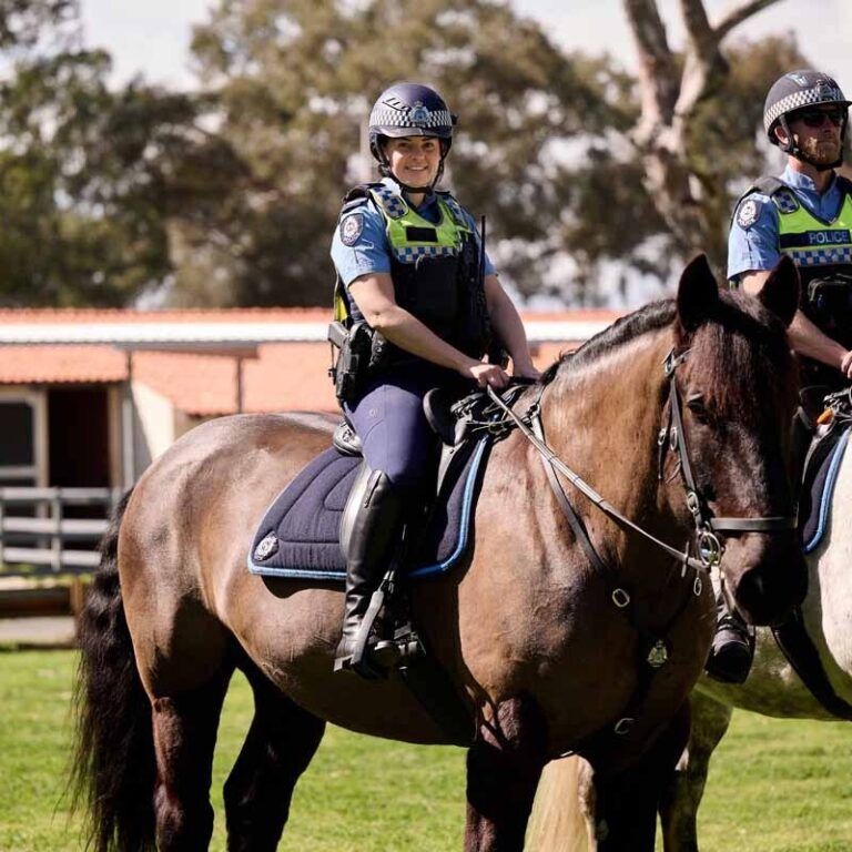 Police Officer on Police Horse.