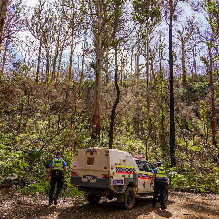 Two Police Officers either side of a squad car in a Mount Barker forest.